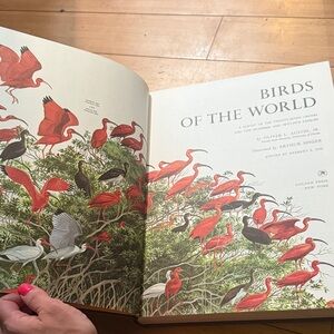 Vintage Birds of the World Book with Red and Green Illustrations